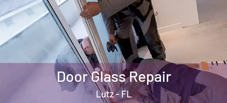  Door Glass Repair Lutz - FL