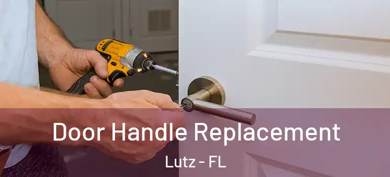  Door Handle Replacement Lutz - FL