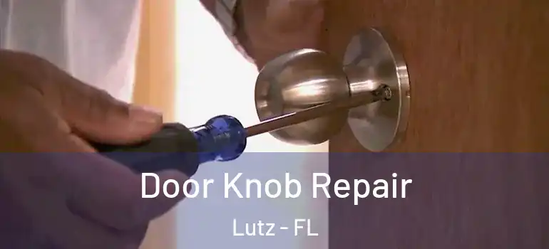  Door Knob Repair Lutz - FL