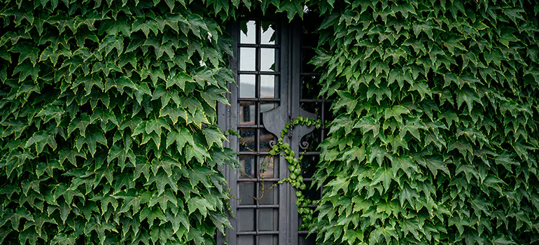 Garden Gate Repair in Lutz, FL