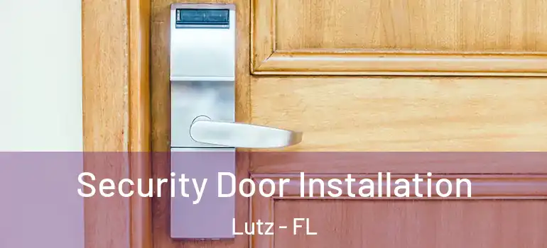  Security Door Installation Lutz - FL