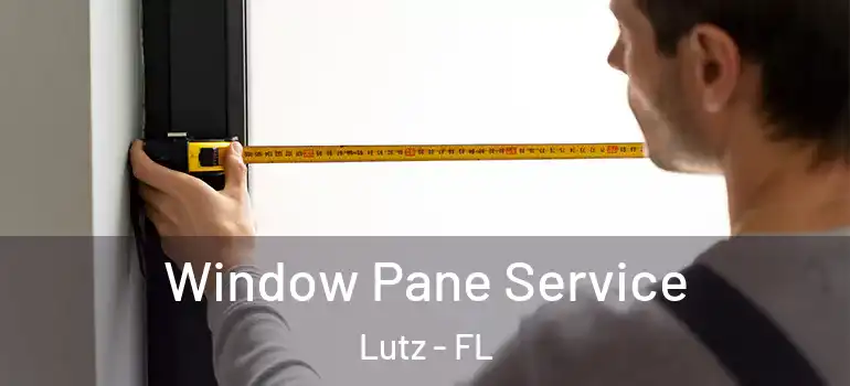  Window Pane Service Lutz - FL